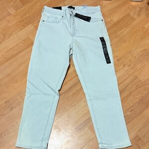 Banana Republic Straight-Leg Jeans in Light Mint